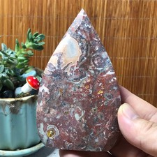 Natural money Mexico agate hand carve leaf Crystal Specimen free standing A6530 picture