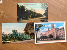Vintage Stockton State Hospital California Postcard Lot of 3 Palm Drive Female D picture