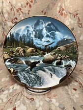 Whitewater Falls Limited Edition Danbury Mint Collector Plate John Van Straalen picture