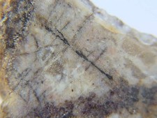 THALENITE-(Y) - Guy Hazen Claims, Kingman, Mohave County, ARIZONA picture