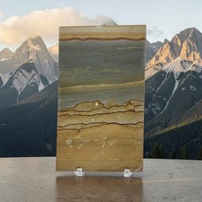Owhyee Picture Jasper, landscape, slab, cabbing rough, #R-7212 picture