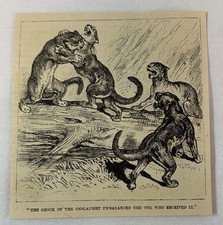1884 magazine engraving ~ WILD COUGARS FIGHTING WITH EACH OTHER ON A LOG picture