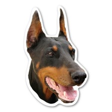 Doberman Pinscher Magnet picture
