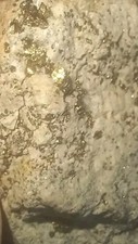 102.058 Grams of Natural Mined Visually Beautiful Telluride Gold Copper Iron Ore picture