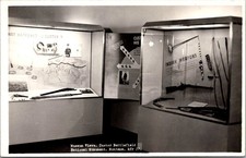RPPC Custer Battlefield Museum Montana Vintage Postcard 4P24-32 picture