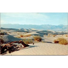 Desert Sands Vast Desert Landscape & Distant Mountains Vintage Postcard SP8-13 picture