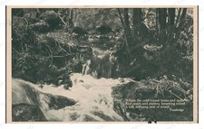 Sharon Massachusetts 1924 Babbling Brook Stream Waterfall Standard Postcard picture
