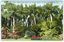 1940's SUNKEN GARDENS FLORIDA ROYAL PALMS & FLOWERS VINTAGE LINEN POSTCARD picture