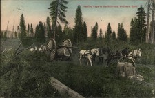 Hauling Logs to Railroad McCloud California vintage postcard t933 picture