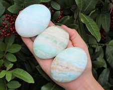 LARGE Caribbean Calcite Palm Stone: Hand Polished Smooth Palm Stone picture