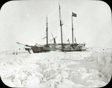 The 'Fram' in the ice Arctic 1896 OLD PHOTO picture