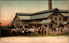 Antique Postcard A Sugar Factory Muir Marshall & Co Trinidad Caribbean picture