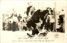 White River SD Rodeo Ray Hight Wild Cow Rosebud Real Photo Postcard bhn picture