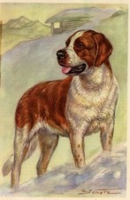 Saint Bernard - CUSTOM MATTED Small 5 x 7 - Dog Art Print - German : NEW U picture