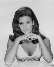 RAQUEL WELCH 8x10 Hollywood Archive - 1960s Glamour Photography Portrait picture