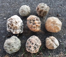10 Lbs Bulk Lot Unopened Geodes/Nodules Natural Semi Solid-Break Your Own Geodes picture