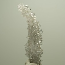 Clear starburst quartz, hematite specimen Streep Mine Goboboseb Namibia picture