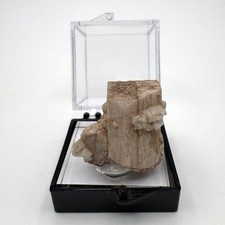 Microcline (Carlsbad Twin) from Mt. Antero, Colorado - Fine Mineral Specimen picture