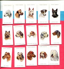 1940 JOHN PLAYER & SONS DOGS' HEADS 15 DIFFERENT TOBACCO CARD LOT picture