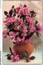 AVLP4-0284-FLEUR - Gladiolus Pot picture