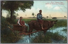 C. 1910 Moro Carabao Sled Mindanao Philippines Color Picture Postcard / picture
