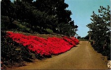 El Retiro Jesuit Retreat House Men Los Altos CA California Rosary Lane Postcard picture