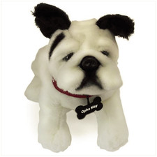 Vanguard MARINE CORPS BULLDOG OPHA MAY - PARRIS ISLAND MASCOT picture
