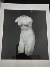 Vintage O.E. Nelson Photo Greek Aphrodite Torso Pomerance Collection Brooklyn picture