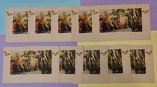 Lot 10 E G Barnhill EG Florida Postcard egret trees moss water river edge forest picture