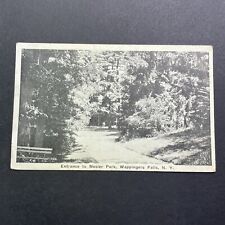 Antique 1930s Mesier Park Wappingers Falls New York Real Photo Postcard V3568 picture