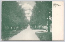 Cedar Ave Winston Salem NC Postcard c1905 Souvenir Post Card Co picture
