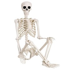 5.4ft Giant Halloween Human Skeleton Poseable Full Life Size Decor Party Prop picture