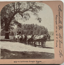A Californian Freight Wagon Transportation Stereoview Card Keystone View 1899 picture