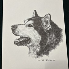 Alaskan Malamute  Vintage Print By Jan Jellins 8 X10 picture