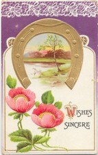 Wishes Sincere Horseshoe Poppies Embossed c1910 Postcard picture