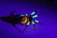 Red Uranium Glass Spider Surprise Uranium Vaseline Glass Figurine Spider Glass picture