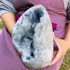 14LB natural blue celestite geode quartz crystal mineral specimen healing picture