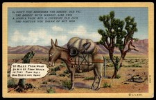 Vintage Desert Burro Joshua Tree Humor Linen Postcard Nevada 1934 CT picture