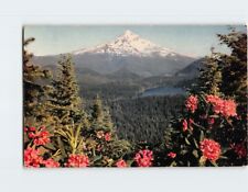 Postcard Mount Hood and Lost Lake Rhododendrons Oregon USA North America picture