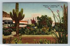 Entrance To Camelback Inn, Phoenix Arizona Vintage Postcard picture