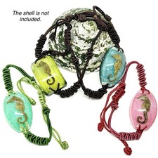 Seahorse Bracelet in Resin Specimen Ornament Collection 4 pcs picture