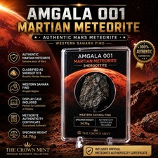 Amgala 001 Martian Meteorite 1.86g Shergottite w/ COA & Display Case picture