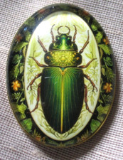 XL GLASS PICTURE BUTTON  LARGE REALISTIC GREEN BEETLE BUG GREEN FLOWERS BORDER picture