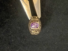 Silver 2016 Dawson County High School Tigers Original Class Ring Purple Stone picture