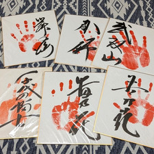 Printed Sumo Handprint 6 Set Chiyonofuji Takanohana Wakanohana Board picture