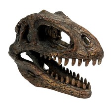 Giganotosaurus Dinosaur Statue Weathered Brown Resin 6.5 Inch Tabletop Decor picture
