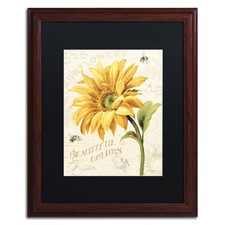 Trademark Fine Art 'Under The Sun II' Black Wood Frame 16x20 Lisa Audit picture
