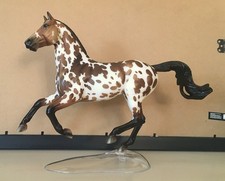 Breyerfest 2025 Let the Good Times Roll Matte Braided Version picture