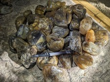 25 Lbs Lg Size Tumbling Montana Agate Cutting Hobbies  picture