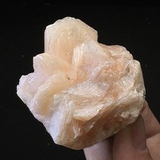 Natural  Peach Stilbite Cluster on Matrix India Mineral Specimen D42 picture